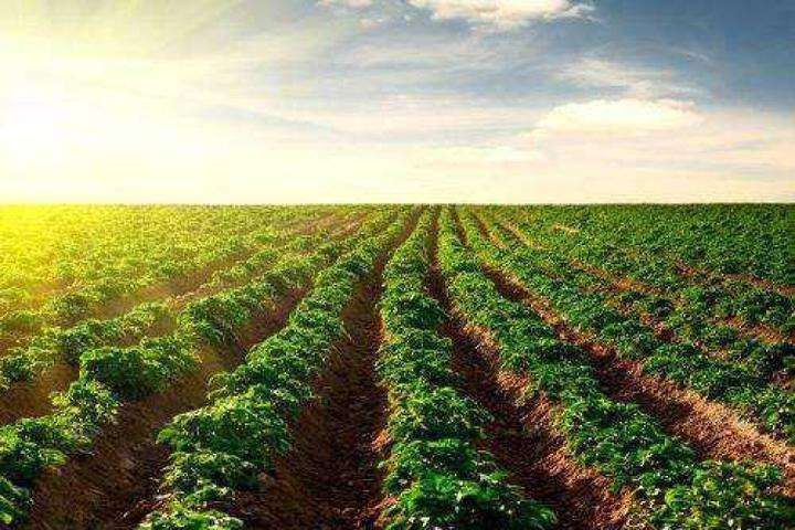 香港六仺彩开奖绐果-香港6合开彩开奖-香港6合开奖结果+开奖记录2025-香港6合开彩开奖直播-香港六宝典资料大全-2025澳门今晚开奖结果-澳门马会会传真578866-澳门马会会传真576969仪器助力第三次全国土壤普查