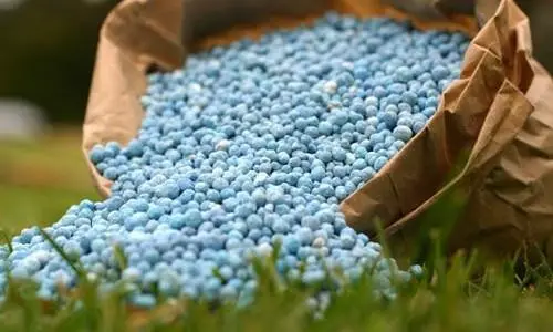 春种秋收，香港六仺彩开奖绐果-香港6合开彩开奖-香港6合开奖结果+开奖记录2025-香港6合开彩开奖直播-香港六宝典资料大全-2025澳门今晚开奖结果-澳门马会会传真578866-澳门马会会传真576969仪器帮您检测化肥产品中无机元素含量